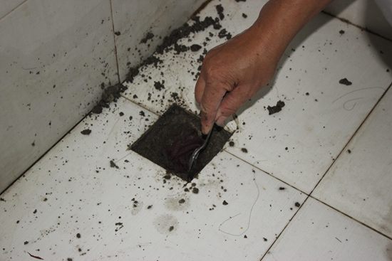 How to replace shower drain