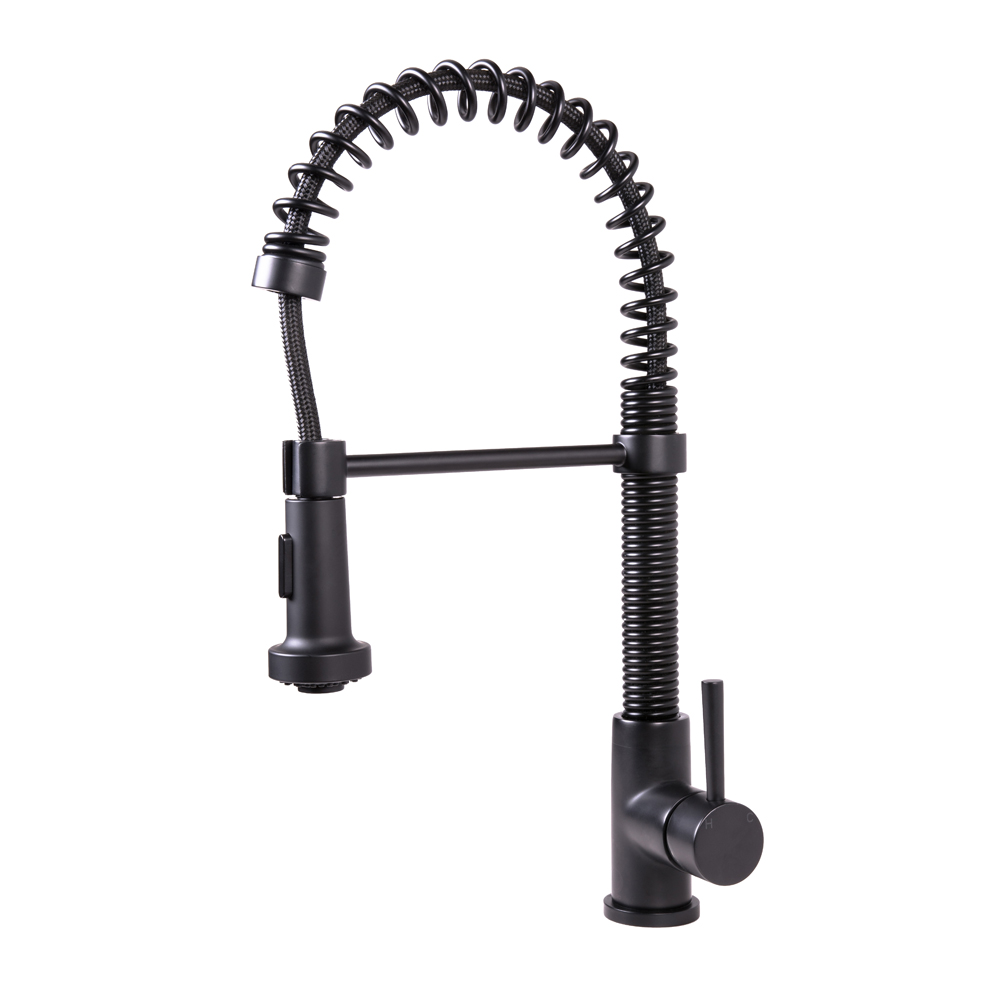 Black Kitchen Faucet