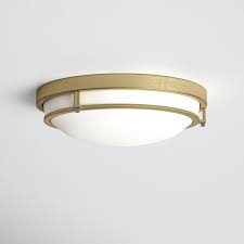 Ceiling Lights
