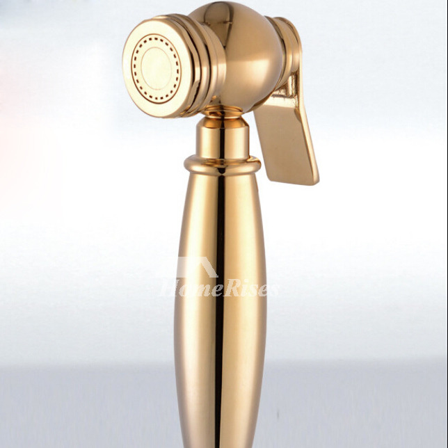 Polished Brass Luxury Bidet Faucet Wall Mount Single Handle Gold