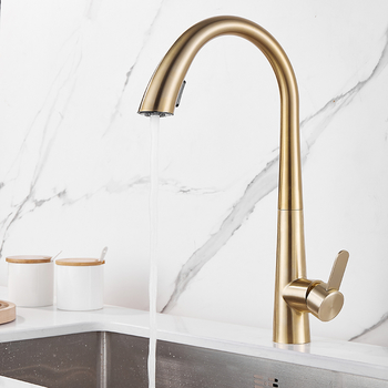 Brushed Brass Modern Kitchen Faucets Brass Pull Out Spray Rotatable Gooseneck Kitchen Sink Taps