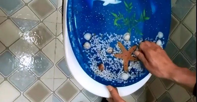 1523953673739999.jpg toilet seat installation